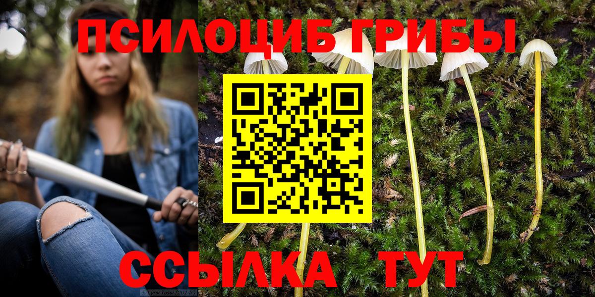 Псилоцибиновые грибы Magic Shrooms  Вход с VPN  Черняховск 